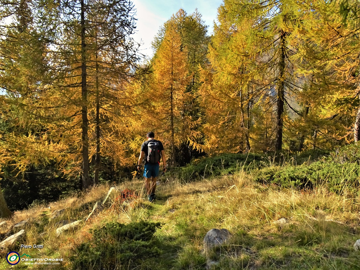 72 Proseguiamo la discesa su sentiero tra lariceti colorati d'autunno.JPG